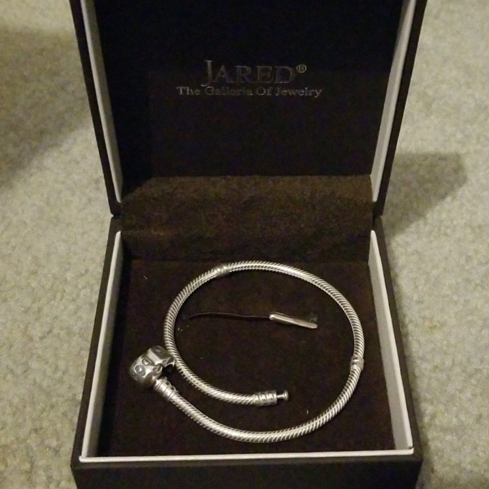 Pandora bracelet 9.1